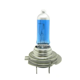 Halogen bulb with socket H7, 100W, 24V - White 5500K, AMPUL.eu