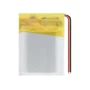 Batterie Lithium-Polymère 3,7V 300mAh modèle 802025