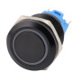 Illuminated metal switch without detent (it returns to its original position when pressed, so-called momentary), for hole diameter 19mm with working voltage 12-24V DC, 110-230V AC.