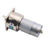 Motorreductor 60GA775 – alto par, 12 V/24 V
