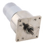 Zobniški motor 60GA775 – visok navor, 12V/24V