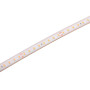 Odolný LED pásek do 100°C, 24 V DC, 6W/m, IP67 do sauny