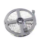 Striscia LED 12V 60x5050 SMD - Bianco regolabile