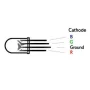 LED Diode 5mm clear, RGB, common cathode, AMPUL.eu