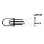 LED-Diode 5mm klar, RGB, gemeinsame Kathode, AMPUL.eu