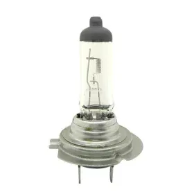 Halogen Bulb H7, 100W, 12V, 4300K