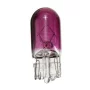 Ampoule halogène T10 5W 12V – Lumière violette, faisceau 360°