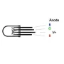 Diode LED 5mm diffuse, RGB, anode commune, AMPUL.eu
